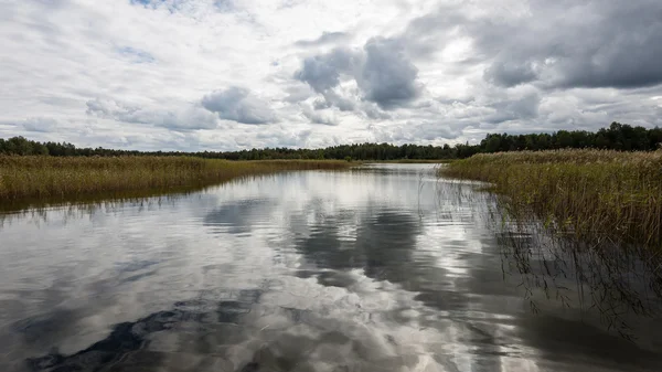 Kar ve dağ sakin göl su yansımalar