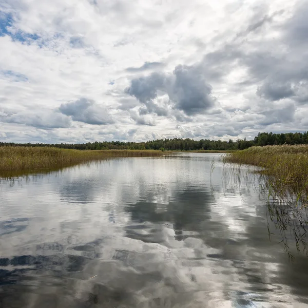 Kar ve dağ sakin göl su yansımalar
