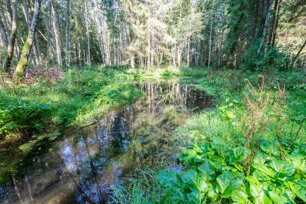 Sakin göl su yansımalar