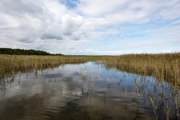 Kar ve dağ sakin göl su yansımalar