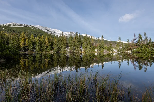 Kar ve dağ sakin göl su yansımalar