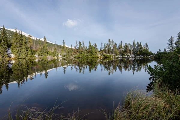Kar ve dağ sakin göl su yansımalar