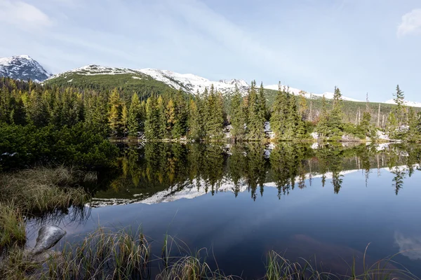 Refleksje w spokojnych wodach jeziora wody z góry i śnieg — Zdjęcie stockowe