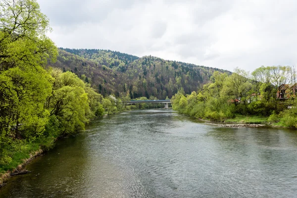 Sakin göl su yansımalar