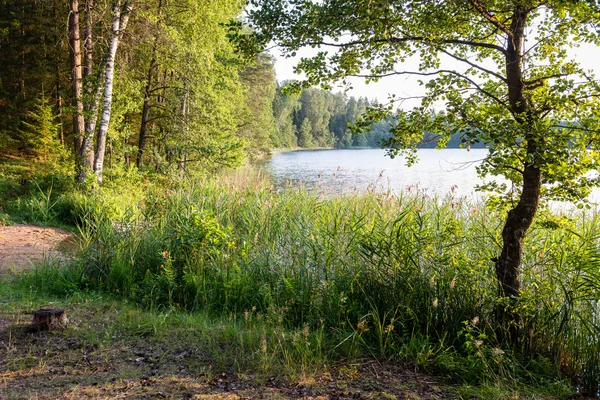 Sakin göl su yansımalar