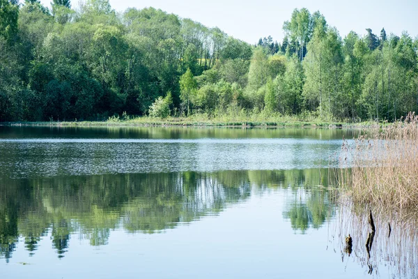 Odrazy ve vodě klidné jezero — Stock fotografie