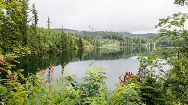 Reflections in the calm lake water — Stock Photo, Image