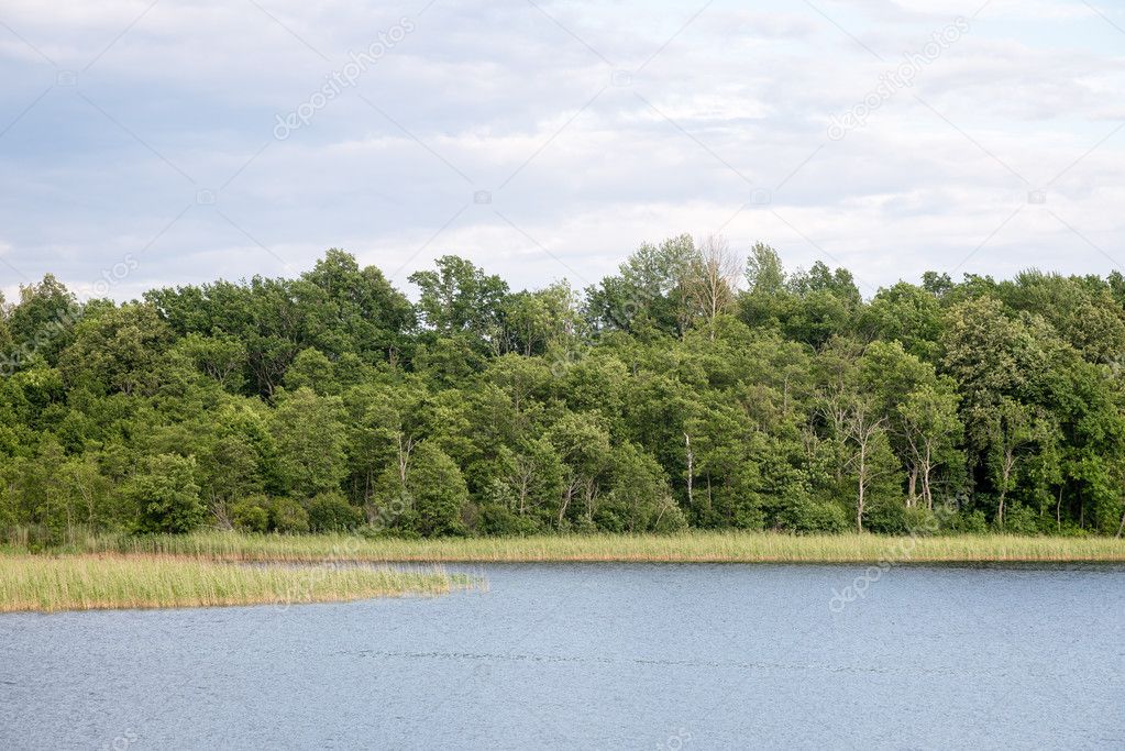 Reflections in the calm lake water