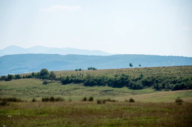Karpat Dağları ormandan görüntülemek