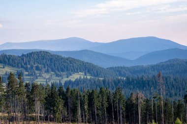 Karpat Dağları ormandan görüntülemek