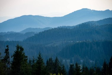 Karpat Dağları ormandan görüntülemek