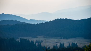 Karpat Dağları ormandan görüntülemek