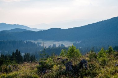 Karpat Dağları ormandan görüntülemek