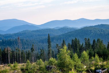 Karpat Dağları ormandan görüntülemek