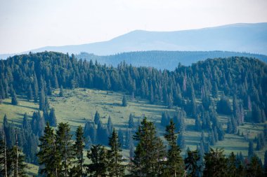 Karpat Dağları ormandan görüntülemek
