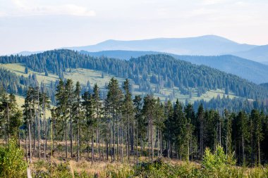 Karpat Dağları ormandan görüntülemek