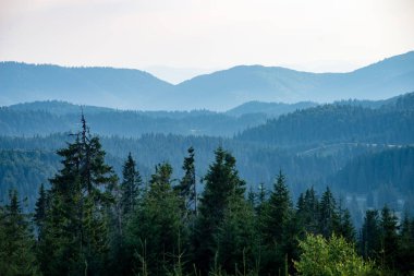 Karpat Dağları ormandan görüntülemek