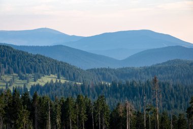 Karpat Dağları ormandan görüntülemek