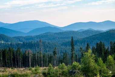 Karpat Dağları ormandan görüntülemek