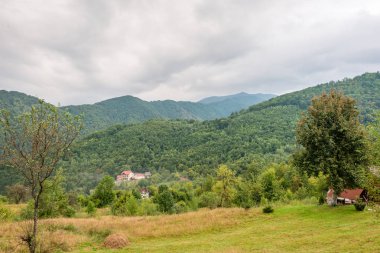 Karpat Dağları ormandan görüntülemek
