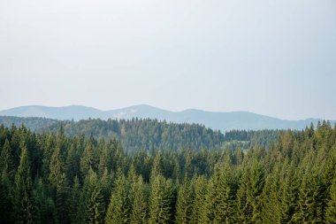 Karpat Dağları ormandan görüntülemek