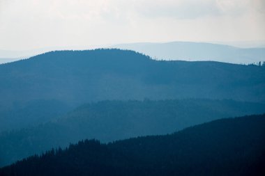 Karpat Dağları ormandan görüntülemek