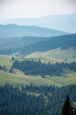 Karpat Dağları ormandan görüntülemek