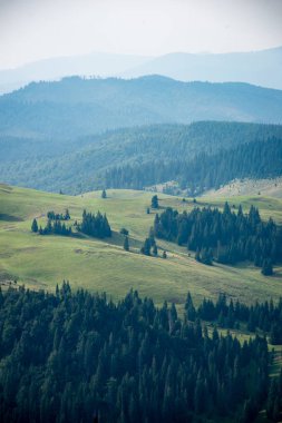 Karpat Dağları ormandan görüntülemek