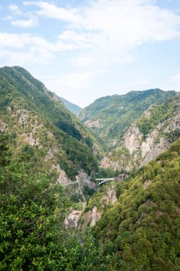 Karpat Dağları en baştan görüntülemek
