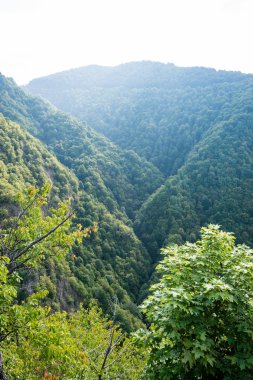 Karpat Dağları en baştan görüntülemek