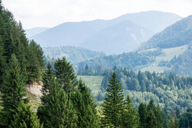 Karpat Dağları en baştan görüntülemek