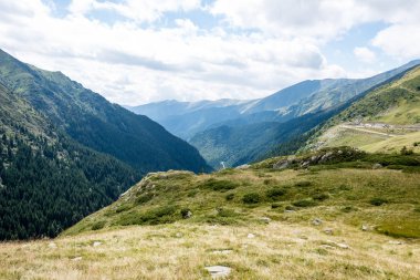 Karpat Dağları en baştan görüntülemek