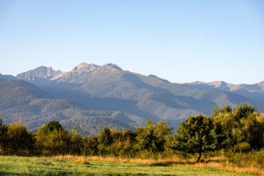 Karpat Dağları ormandan görüntülemek