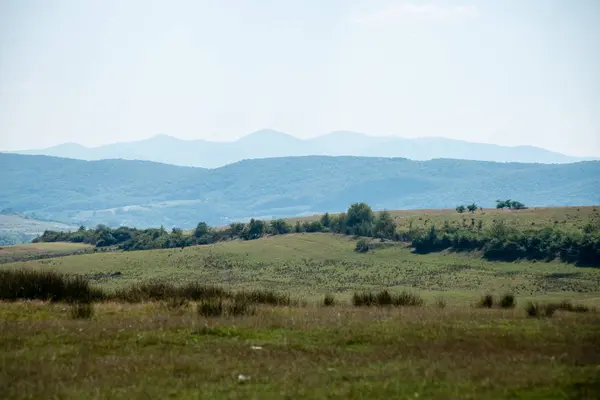 View to the carpathian mountains from forest — Stock Photo, Image