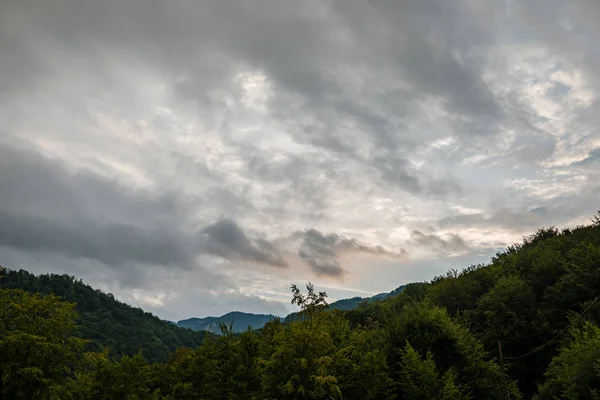 Visa till Karpaterna från skogen — Stockfoto