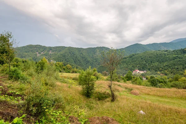 Widok na Karpaty z lasu — Zdjęcie stockowe