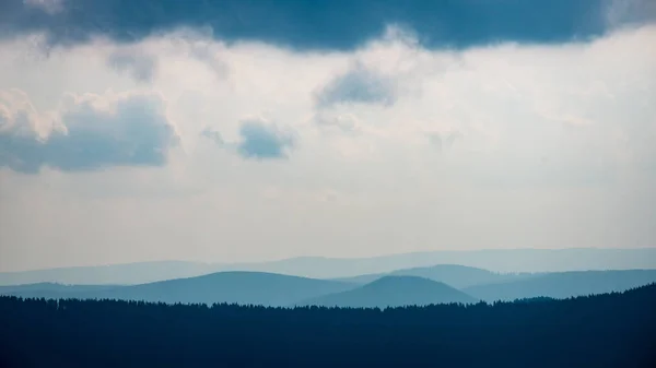 View to the carpathian mountains from forest — Stock Photo, Image