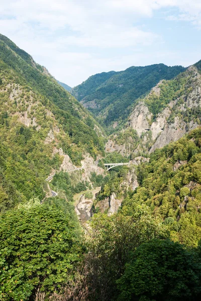 Visa till Karpaterna från toppen — Stockfoto