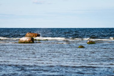 kayalar ve yeşil vegetat Baltık Denizi'nin rahat plaj