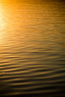 kayalar ve yeşil vegetat Baltık Denizi'nin rahat plaj