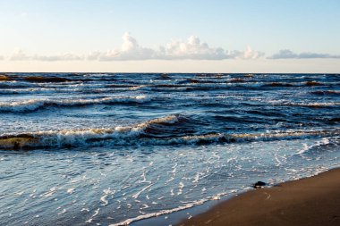 kayalar ve yeşil vegetat Baltık Denizi'nin rahat plaj