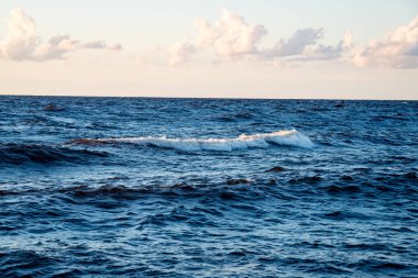 r üzerinde çökmesini su ile Baltık Denizi'nin rahat plaj