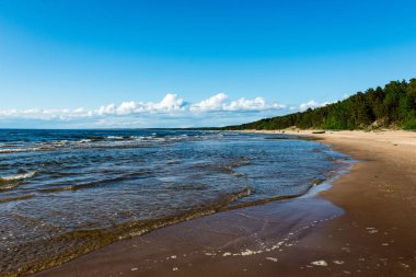 kayalar ve yeşil vegetat Baltık Denizi'nin rahat plaj