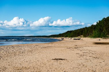 kayalar ve yeşil vegetat Baltık Denizi'nin rahat plaj