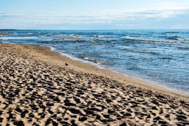 kayalar ve yeşil vegetat Baltık Denizi'nin rahat plaj