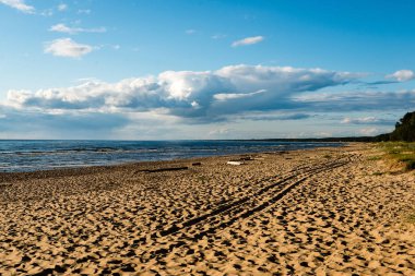 kayalar ve yeşil vegetat Baltık Denizi'nin rahat plaj