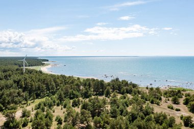 kayalar ve yeşil vegetat Baltık Denizi'nin rahat plaj