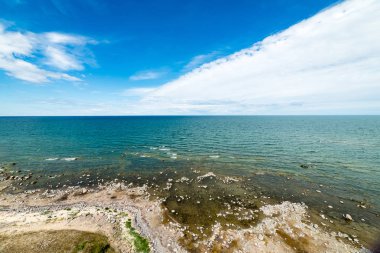 kayalar ve yeşil vegetat Baltık Denizi'nin rahat plaj