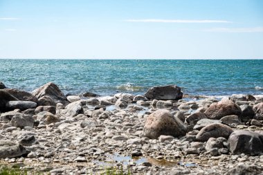 kayalar ve yeşil vegetat Baltık Denizi'nin rahat plaj