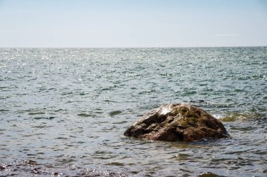 kayalar ve yeşil vegetat Baltık Denizi'nin rahat plaj